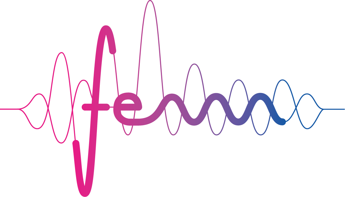 Logo FEM