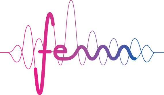 Logo FEM